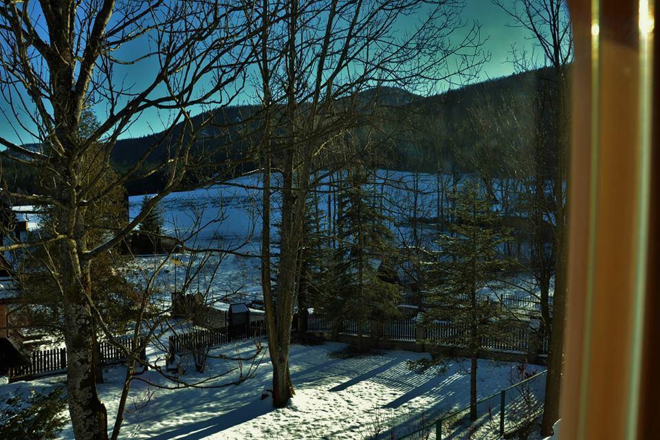 Willa Pod Giewontem Zakopane Kültér fotó